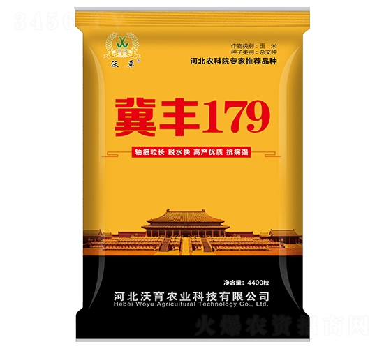 冀豐179-玉米種子-沃育農業