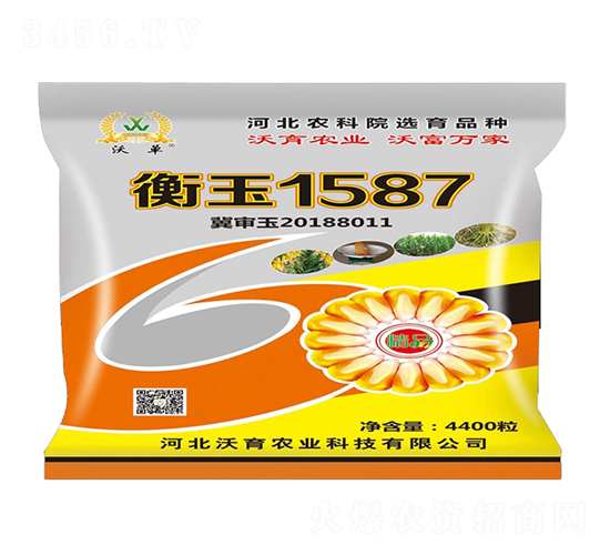 衡玉1587-玉米種子-沃育農業
