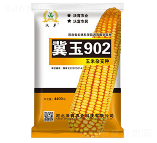 冀玉902-玉米種子-沃育農業