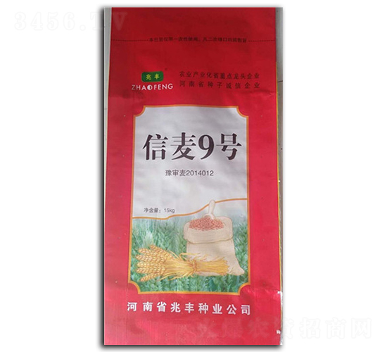 15kg信麥9號-小麥種子-兆豐