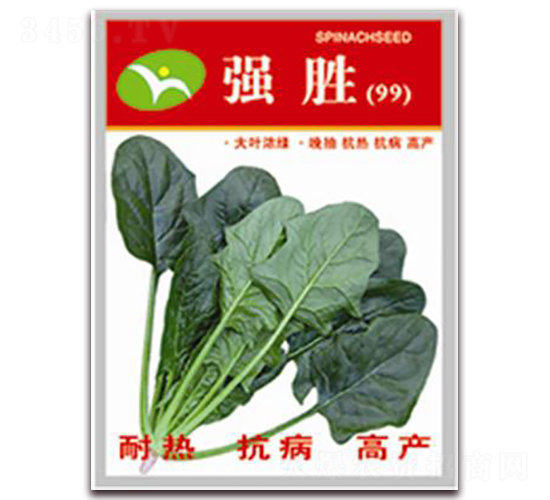 強勝-菠菜種子-宏偉種業