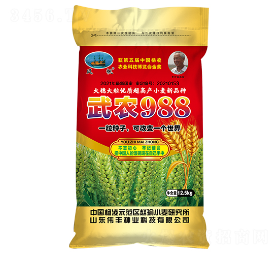 武農988（小麥種子）-偉豐種業