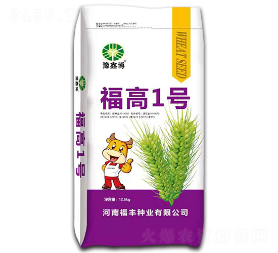 12.5kg福高1號-小麥種子-豫鑫博