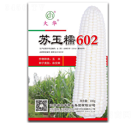 蘇玉糯602-玉米種子-大華種業