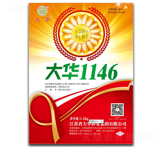 大華1146-玉米種子-大華種業