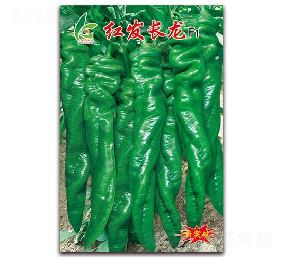 紅發長龍-辣椒種子-紅發種業