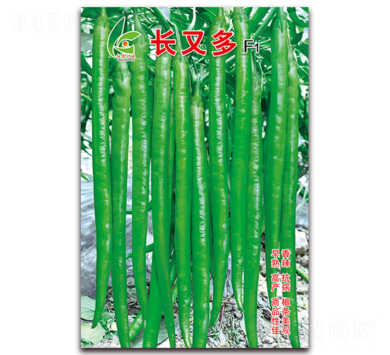 長又多-線椒種子-紅發(fā)種業(yè)