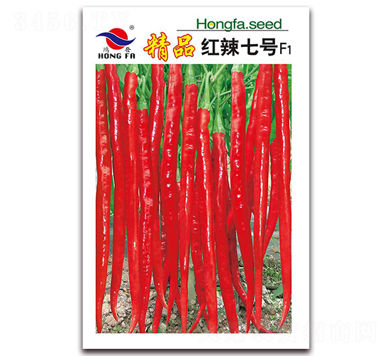 精品紅辣七號-線椒種子-紅發種業