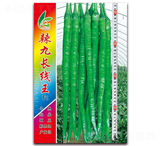 è¾£ä¹é•·ç·šçŽ‹-ç·šæ¤’ç¨®å­-ç´…ç™¼ç¨®æ¥­