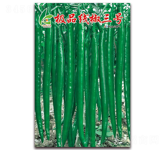 æ¥µå“ç·šæ¤’ä¸‰è™Ÿ-ç·šæ¤’ç¨®å­-ç´…ç™¼(fÄ)ç¨®æ¥­(yÃ¨)