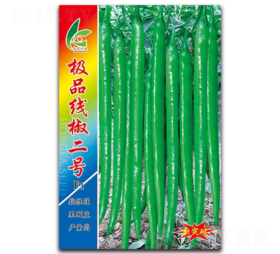 極品線椒二號-線椒種子-紅發種業