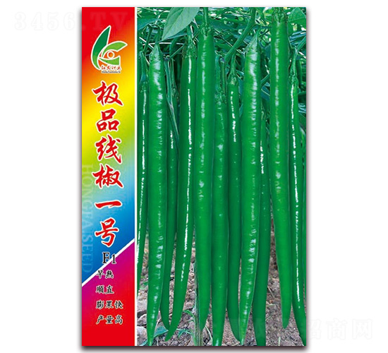 極品線椒一號-線椒種子-紅發種業
