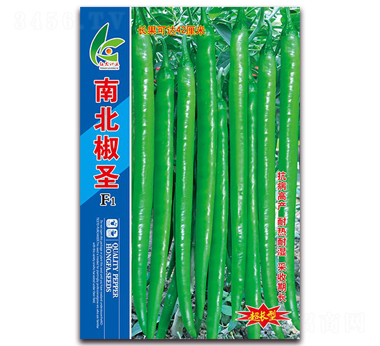 南北椒圣-線椒種子-紅發種業
