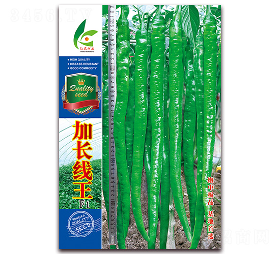 加長線王-線椒種子-紅發種業