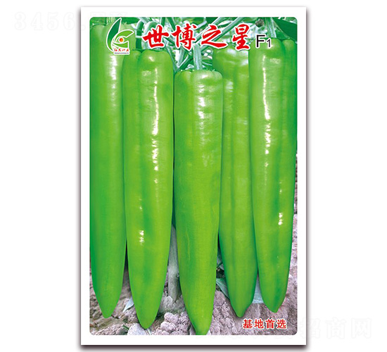 世博之星-尖椒種子-紅發種業