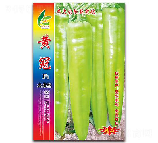 黃冠-尖椒種子-紅發種業