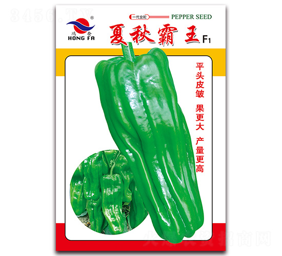 å¤ç§‹éœ¸çŽ‹-è–„çš®æ³¡æ¤’ç¨®å­-ç´…ç™¼ç¨®æ¥­