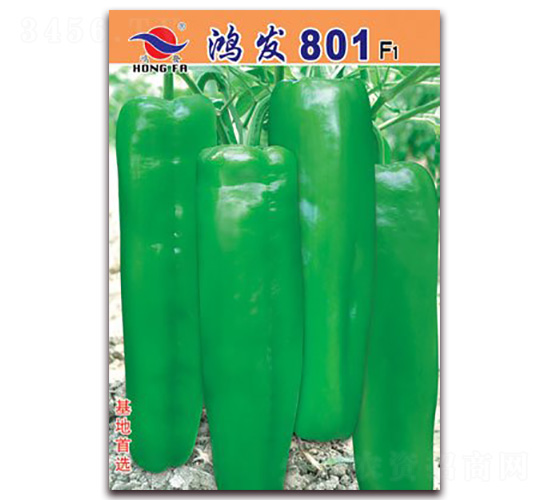 鴻發(fā)801-厚皮泡椒種子-紅發(fā)種業(yè)