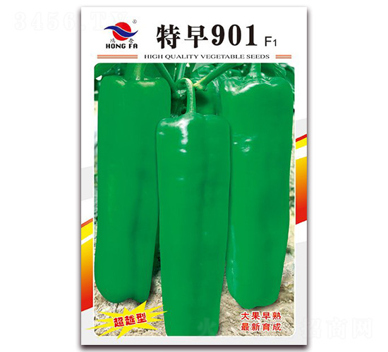 特早901-厚皮泡椒種子-紅發種業