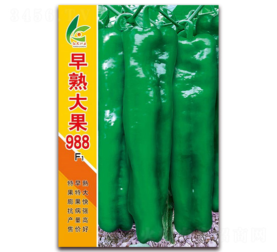 æ—©ç†Ÿå¤§æžœ988-åŽšçš®æ³¡æ¤’ç¨®å­-ç´…ç™¼ç¨®æ¥­