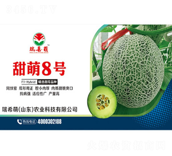 甜萌8號(hào)-甜瓜種子-瑞希萌