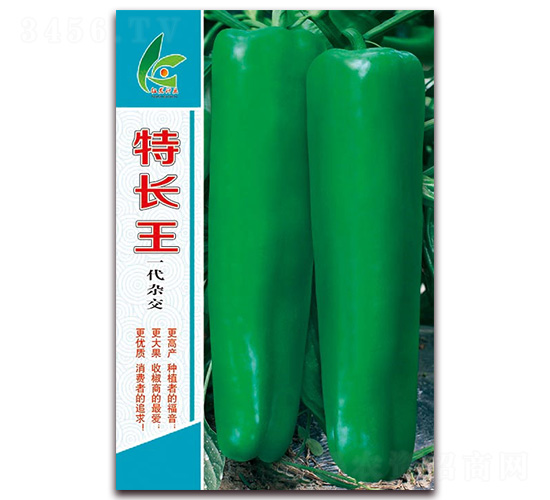 特長王-厚皮泡椒種子-紅發種業
