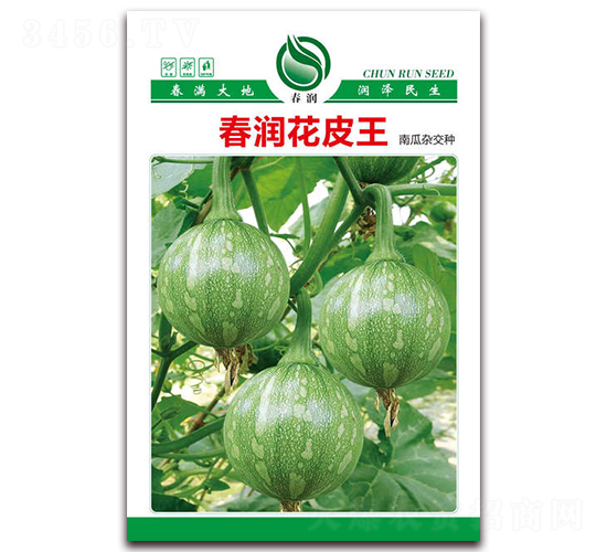 春潤花皮王-南瓜種子-春潤種業