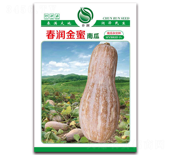 春潤(rùn)金蜜-南瓜種子-春潤(rùn)種業(yè)