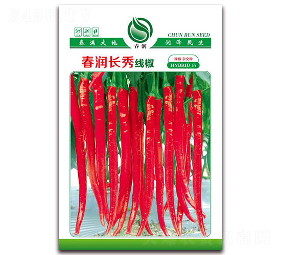 春潤長秀線椒-辣椒種子-春潤種業