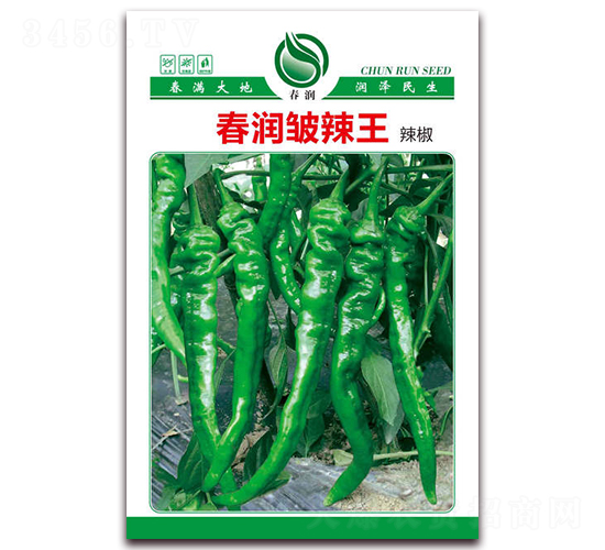 春潤皺辣王-辣椒種子-春潤種業