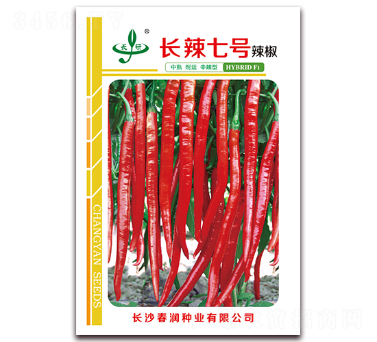 長辣7號-辣椒種子-春潤種業
