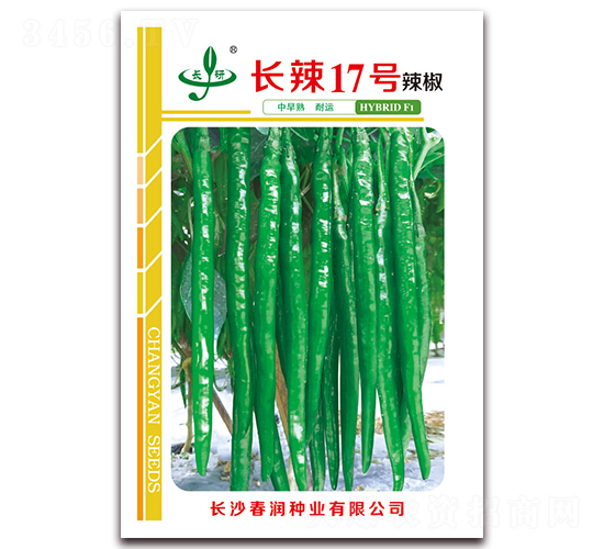 長辣17號-辣椒種子-春潤種業