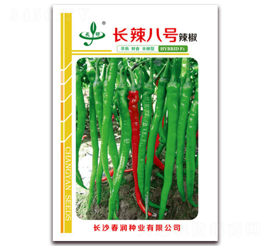 長辣八號-辣椒種子-春潤種業