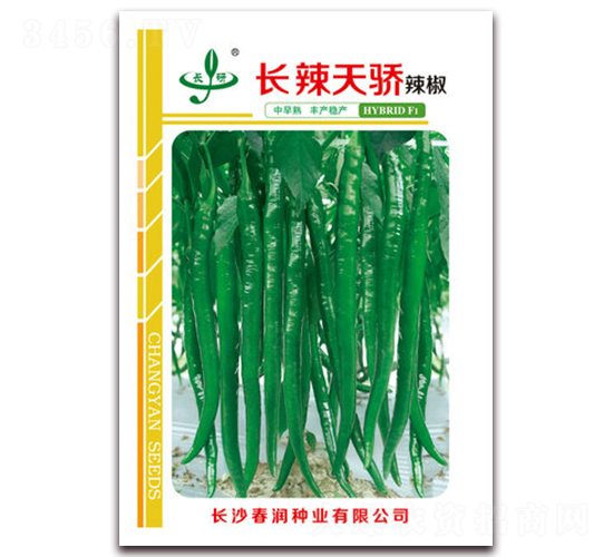 長辣天驕-辣椒種子-春潤種業