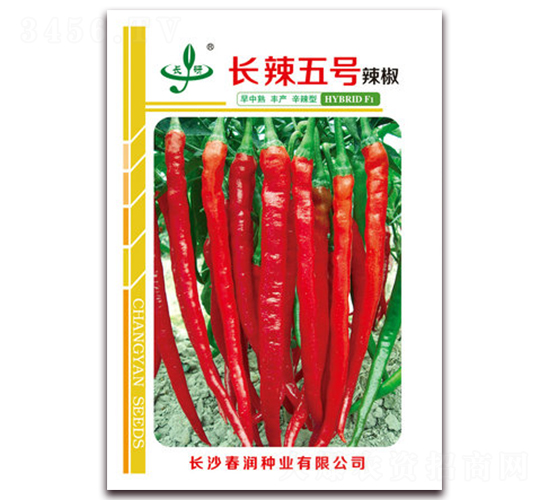 長辣五號-辣椒種子-春潤種業