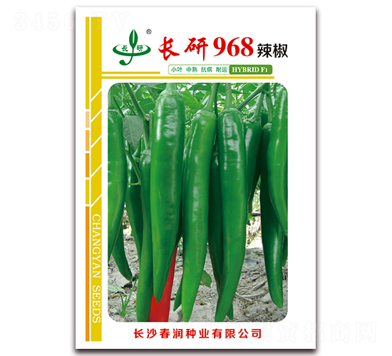 長研968-辣椒種子-春潤種業
