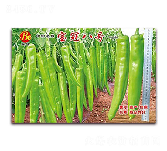 寶冠八號-線椒種子-聯豐種業