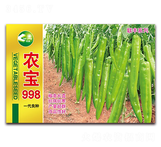 農寶998-尖椒種子-聯豐種業