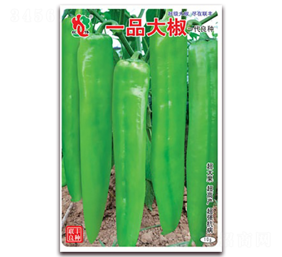 一品大椒-尖椒種子-聯豐種業