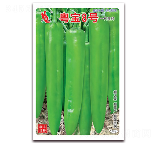 粵寶8號-尖椒種子-聯豐種業
