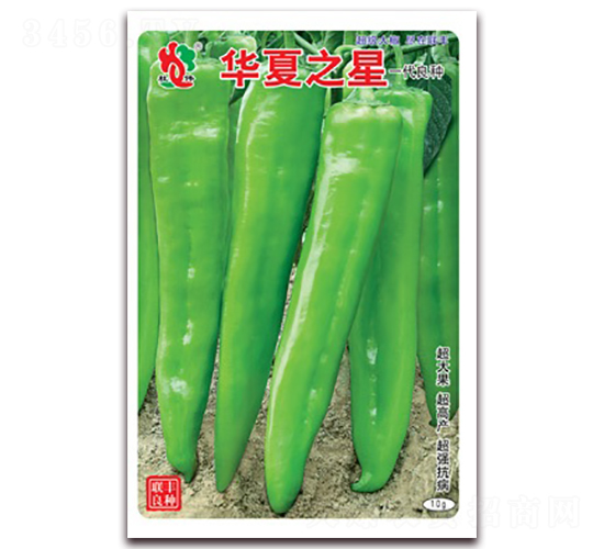 è¯å¤ä¹‹æ˜Ÿ-å°–æ¤’ç¨®å­-è¯(liÃ¡n)è±ç¨®æ¥­(yÃ¨)