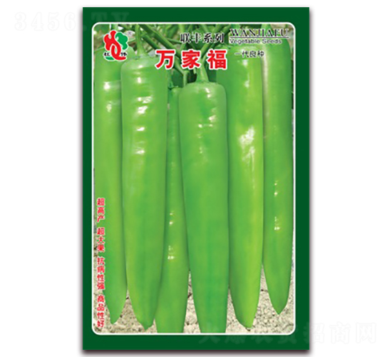 萬家福-尖椒種子-聯豐種業