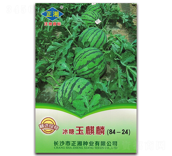 冰糖玉麒麟-西瓜種子-正湘種業