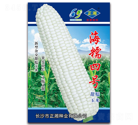 海糯四號-糯玉米種子-正湘種業
