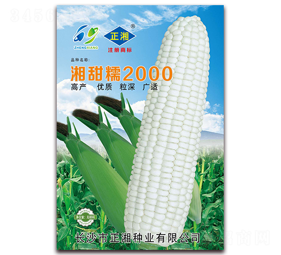 湘甜糯2000-糯玉米種子-正湘種業