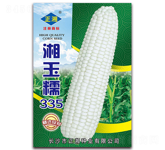 湘玉糯335-糯玉米種子-正湘種業