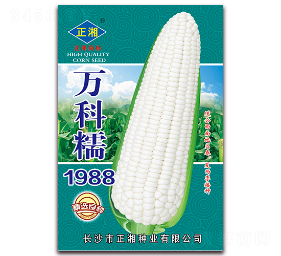 萬科糯1988-糯玉米種子-正湘種業