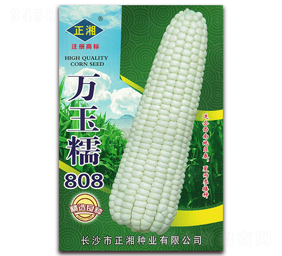 萬玉糯808-糯玉米種子-正湘種業