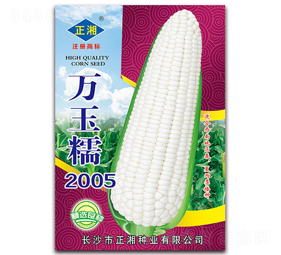 萬玉糯2005-糯玉米種子-正湘種業