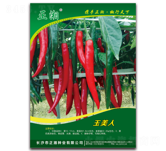 玉美人-美人椒種子-正湘種業